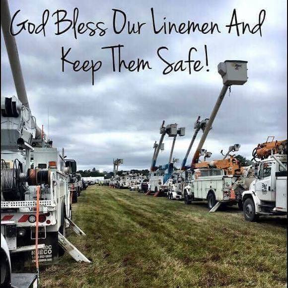 Meet your Posher, Dawn - Picture 1 of 1